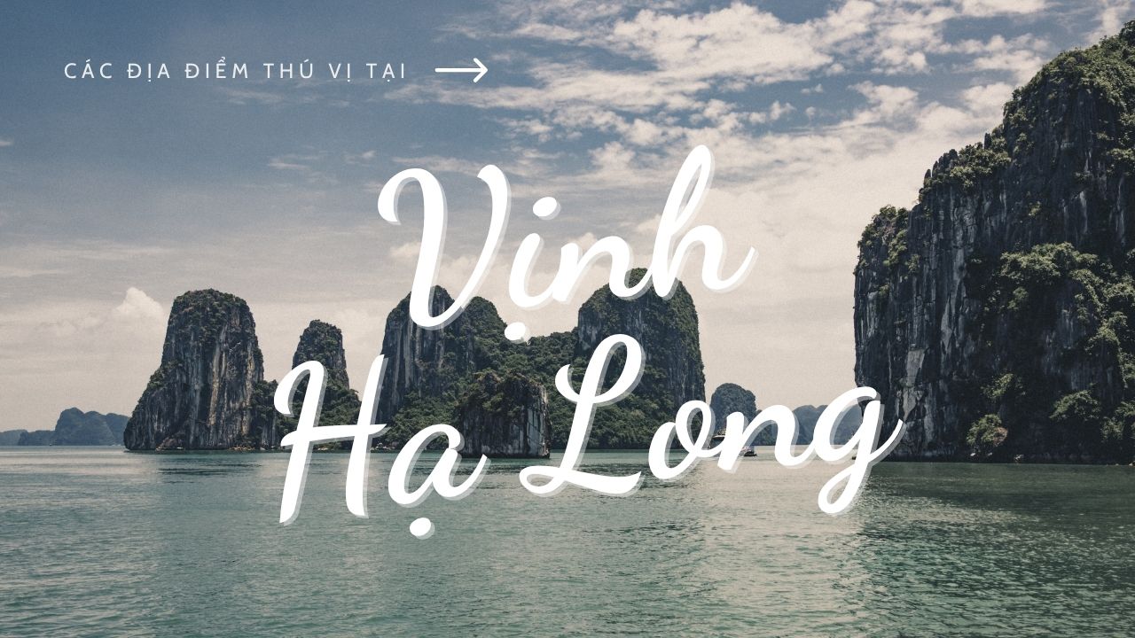Quảng Ninh